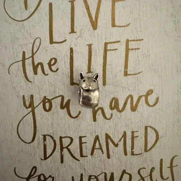 PANDORA Charms - Picture 5 of 5